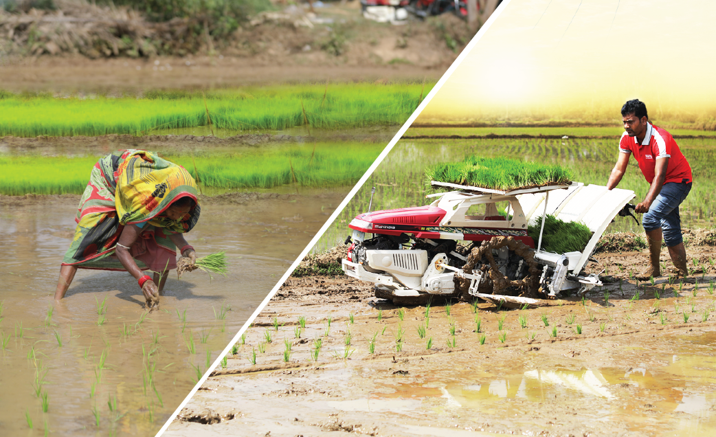 Comparative Analysis Manual Transplanting Vs Rice Transplanting Machines